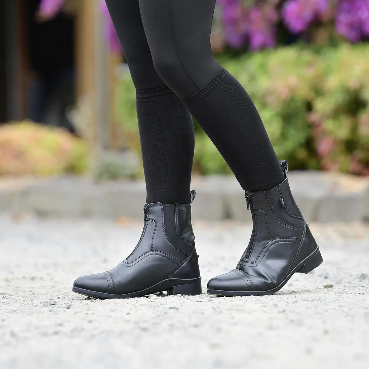 Saxon -Syntovia - Stivali da Equitazione con Cerniera - Unisex (38 EU) (