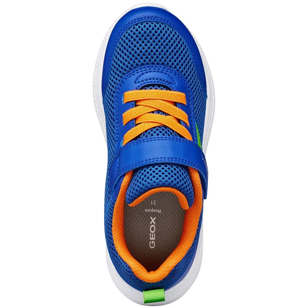 Geox J36gba01454 Scarpe da ginnasticaBambini e Ragazzi