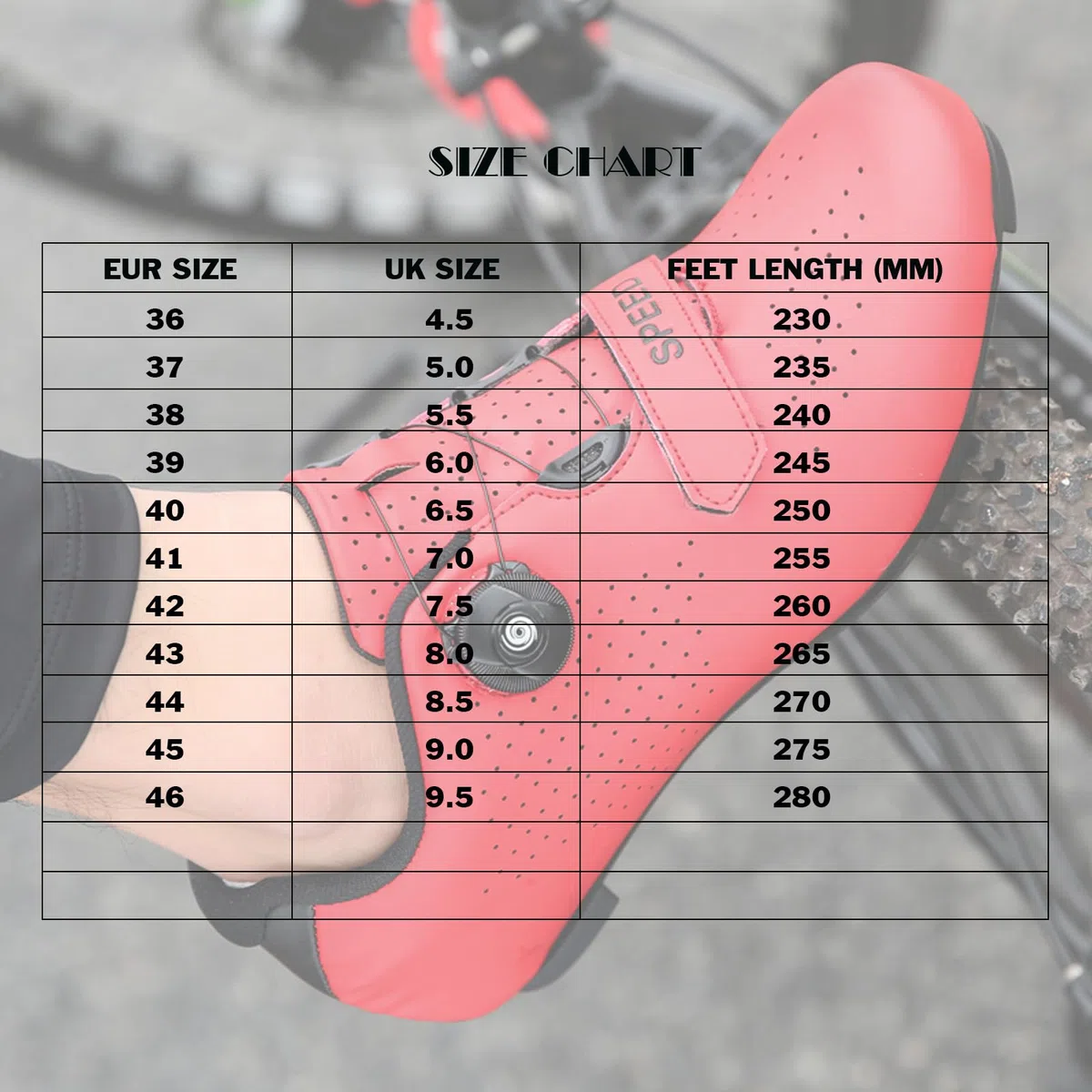 LZQpearl Scarpe da Ciclismo, Scarpe da Strada E da Mountain Bike con Suola in Gomma, Scarpe da Bicicletta per Interni Antiscivolo E Traspiranti con Sistema di Lacci A Rotazione Rapida