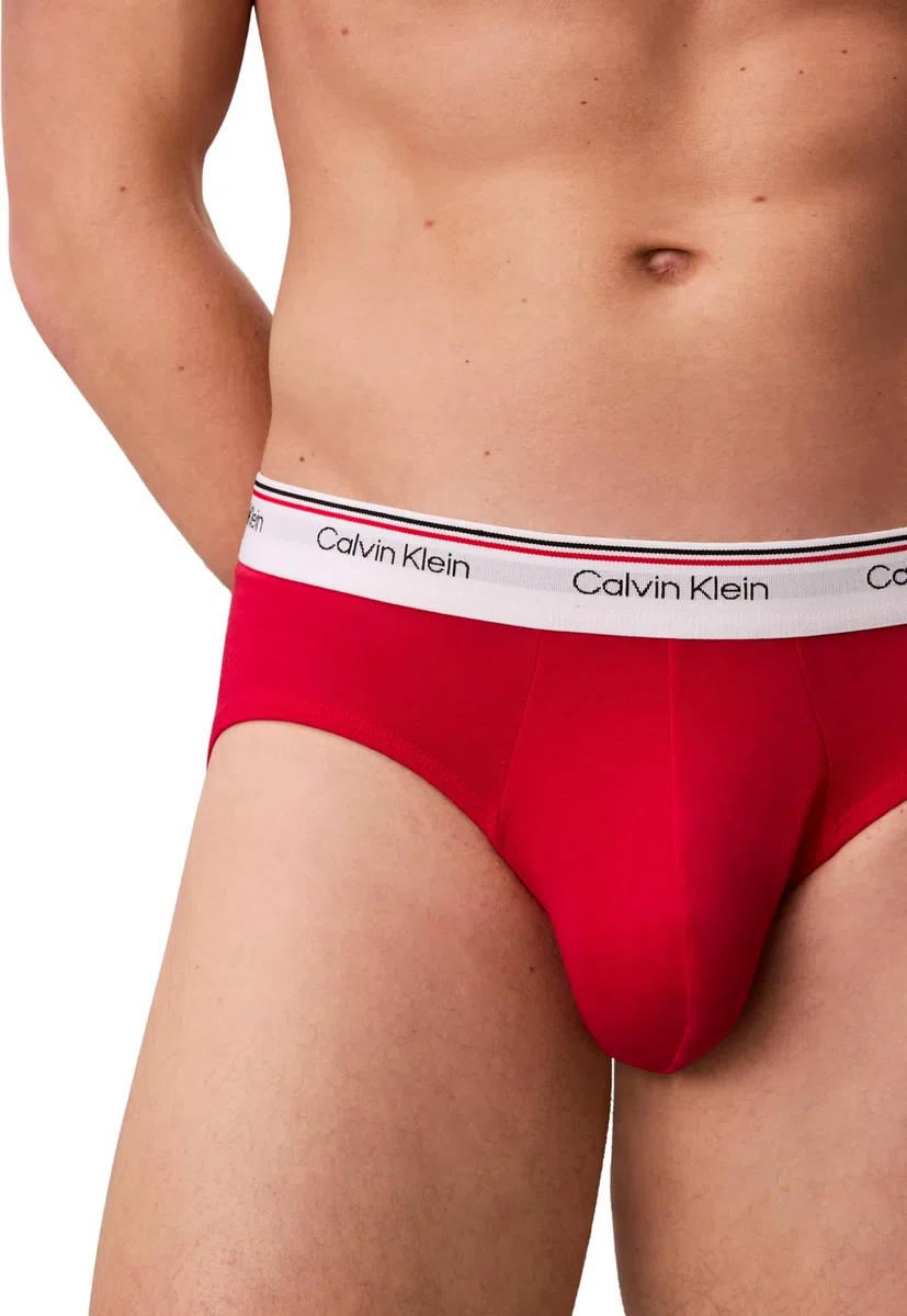 Calvin Klein Hip Brief 3Pk 53V - Harbor Mist Black Chilly Blue Large
