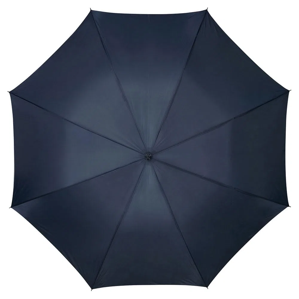 Samsonite Rain Pro - Auto Open Ombrello Classico, 87 cm, Blu (Blue)
