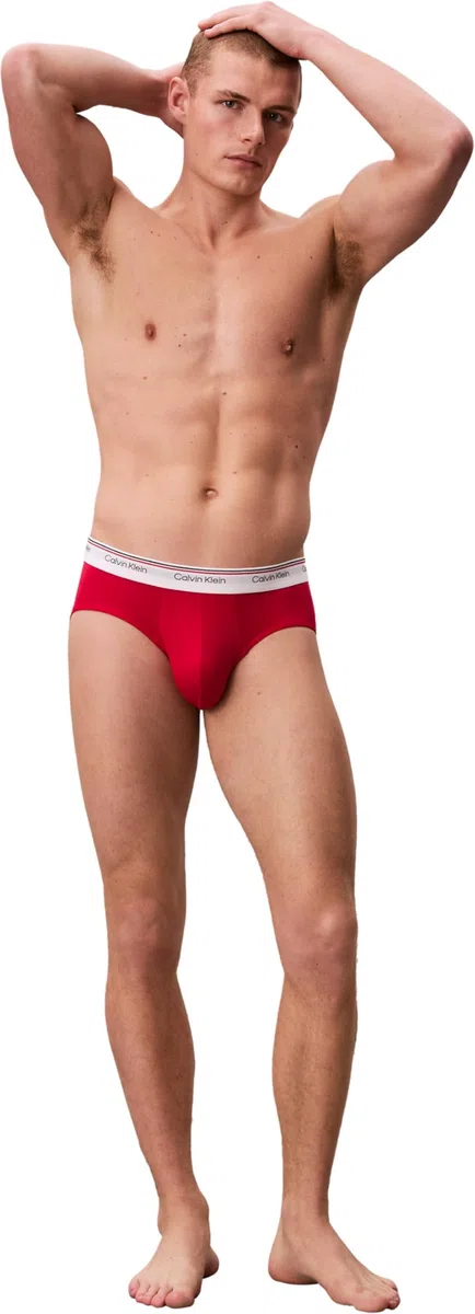 Calvin Klein Hip Brief 3Pk 53V - Harbor Mist Black Chilly Blue Large