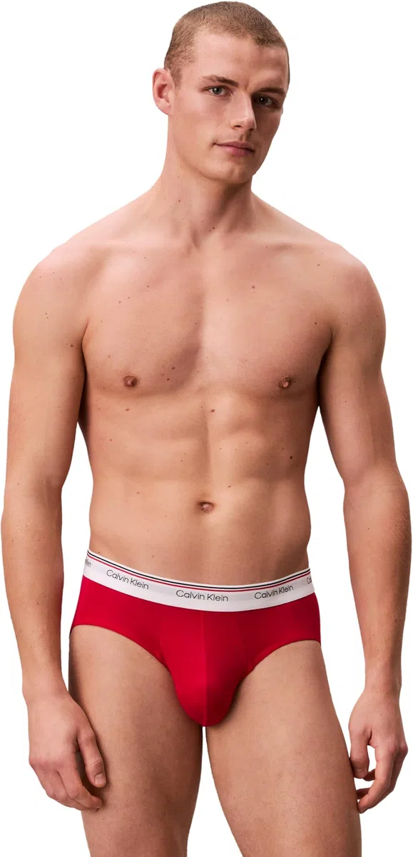 Calvin Klein Hip Brief 3Pk 53V - Harbor Mist Black Chilly Blue Large