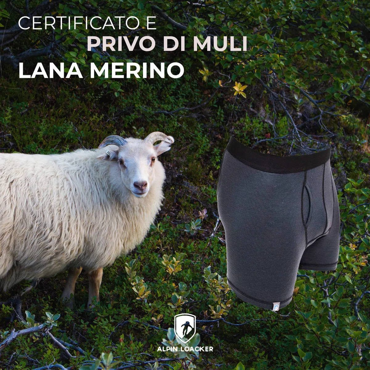 ALPIN LOACKER - Boxer Uomo in Lana Merino - Pantaloni Sportivi per l'inverno e L'Estate, Intimo Termico, Abbigliamento Running