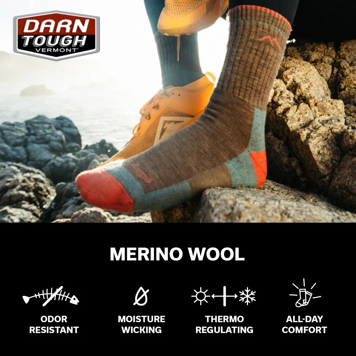 Darn Tough Hiker Micro Crew Midweight With Cushion Calzini Donna (Pacco da 2)