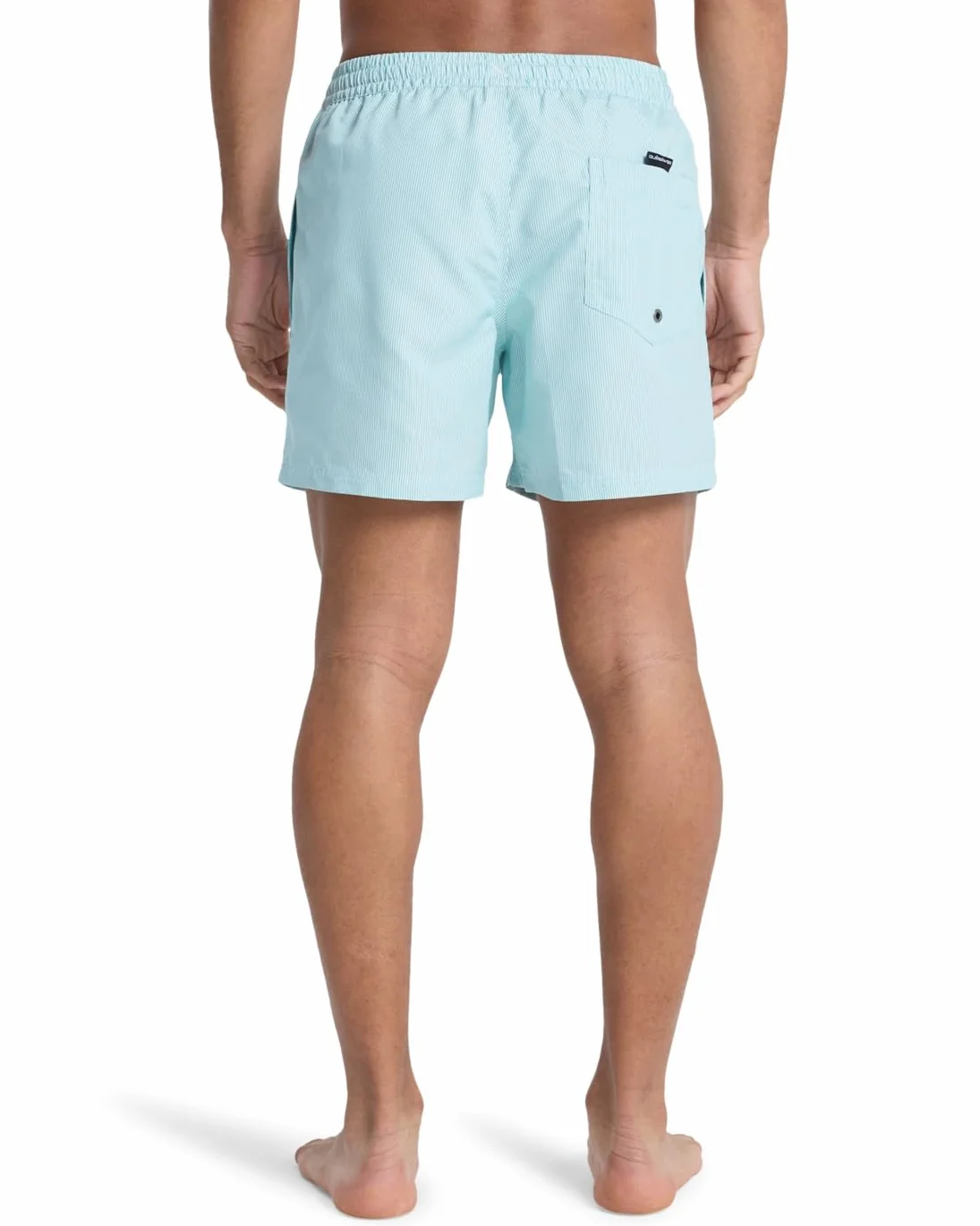 Quiksilver Everyday Deluxe Volley 15 Pantaloncini da tavola Uomo (Pacco da 1)